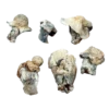 Aztec God Magic Mushrooms