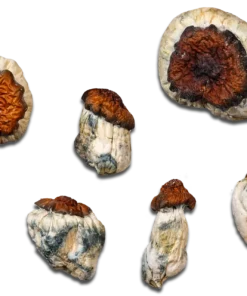 Bluey Vuitton – Magic Mushrooms