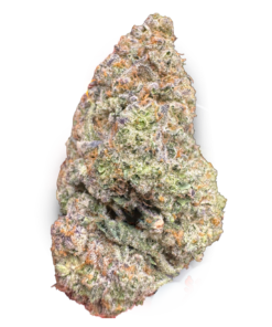 Cheese Cake – AAAA+ Indica