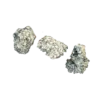 Chocolate Krinkle Brain Magic Mushrooms