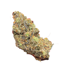 Bubble Gum LSO – AAAA+ Sativa