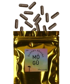 Magic Mushroom Capsules – 100mg – MOGU Psilocybin Co.