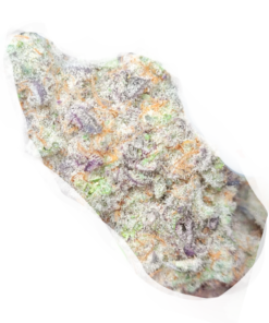 MAKAVELI – AAAA+ Indica