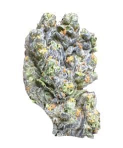 Oreo Cookies AAAA+ Hybrid