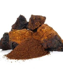 Alternative view of Stay Wyld Organics – Chaga Mushroom Capsules (Bottle of 90)