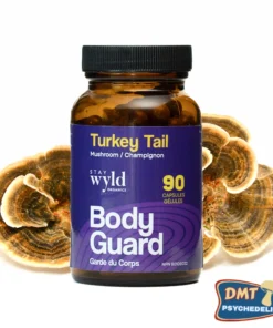 Stay Wyld Organics – Turkey Tail Mushroom Capsules (Bottle of 90)