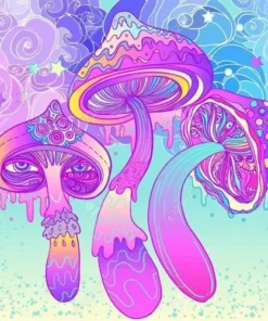 Hippie Flip: LSD & Mushroom Combo