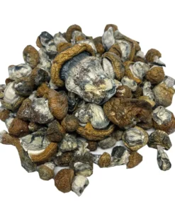Alternative view of Bulk Mushrooms Canada