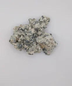 Alternative view of Omni Enigma Magic Mushrooms