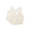 White Molly