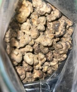 Alternative view of Buy Premium Truffle Mushroom - Potent Psilocybin Canada