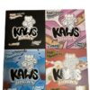 KAWS Rocks