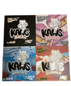 KAWS Rocks