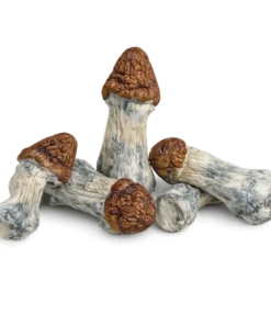 Melmac