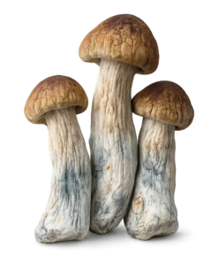 Blue Pulaski