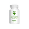 magic mushrooms buy online​