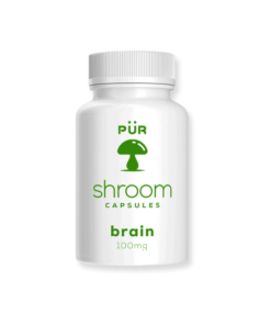 magic mushrooms buy online​